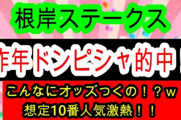 【競馬予想】根岸ステークス2026　あの馬が過去最高の出来！？　ウェイワードアクトら人気馬と遜色の無い馬がいます！！