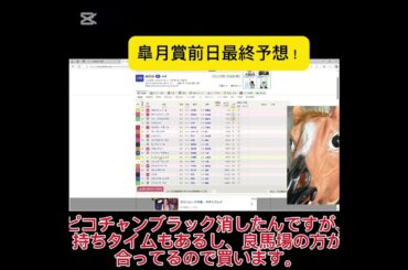 皐月賞最終予想動画！穴党として狙える穴馬紹介！ #g1 #大予想 #皐月賞 #ずんだもん