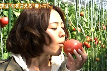 磯山さやか : 旬刊！いばらき・春トマト (201303)