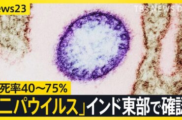 致死率40～75％「ニパウイルス」インド東部で感染者を確認　日本の外務省も注意喚起　アジア各国では対策強化の動きも【news23】｜TBS NEWS DIG
