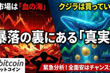 【緊急】ビットコイン暴落はやっぱり嘘？暗号資産市場全面安の裏で「クジラ」が仕掛ける罠がヤバい！（朝活2056）