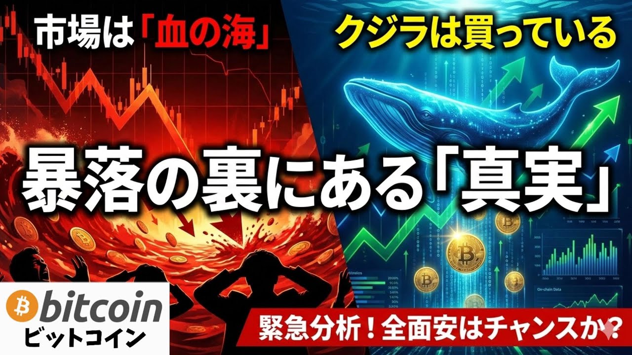 【緊急】ビットコイン暴落はやっぱり嘘?暗号資産市場全面安の裏で「クジラ」が仕掛ける罠がヤバい!(朝活2056) 【緊急】ビットコイン暴落はやっぱり嘘?暗号資産市場全面安の裏で「クジラ」が仕掛ける罠がヤバい!(朝活2056)