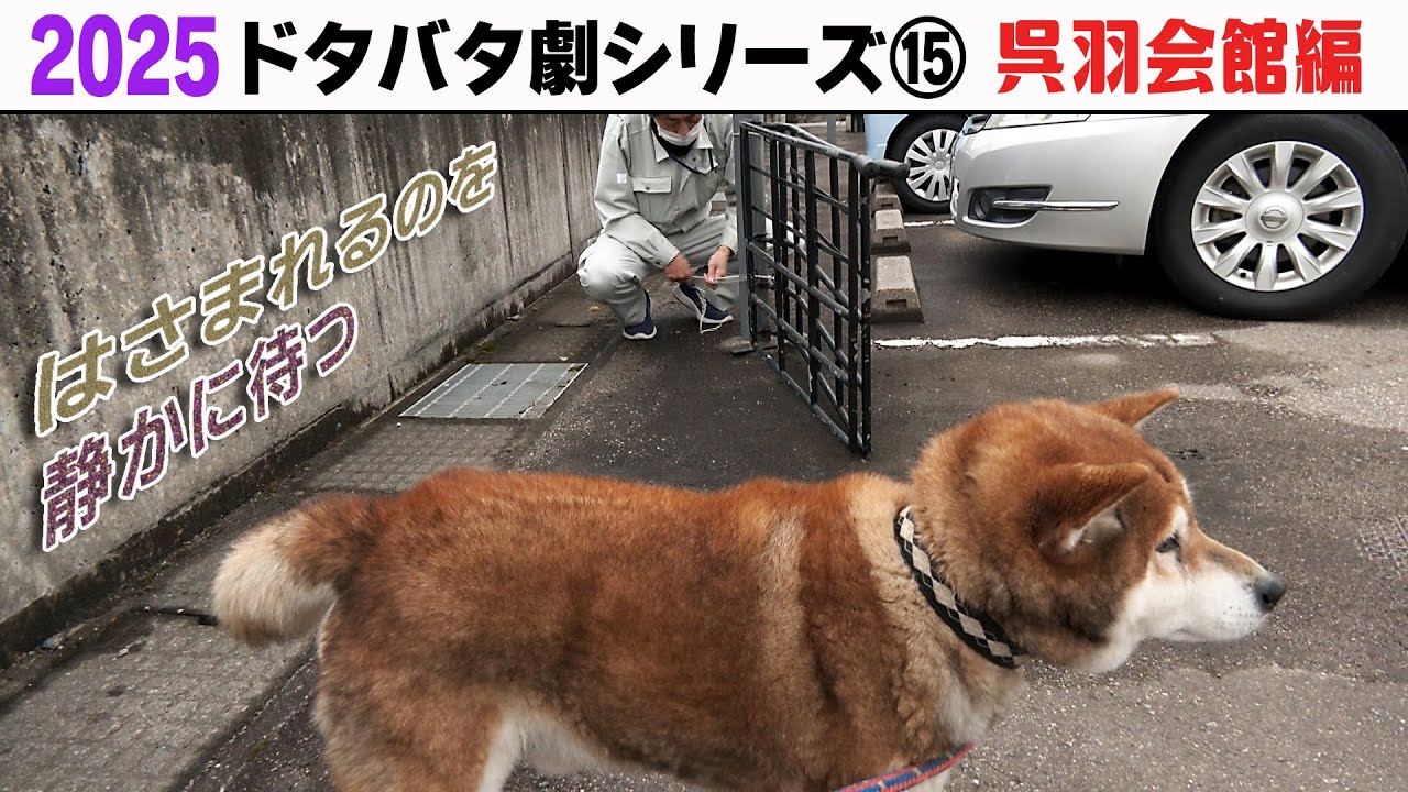 2025狂犬病予防注射会場のドタバタ劇⑮ 呉羽会館編 2025狂犬病予防注射会場のドタバタ劇⑮ 呉羽会館編