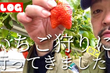 いちご狩りに行ってきました！バスツアー！【Vlog】