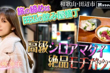 【矢吹奈子in和歌山・田辺市】味の光る路！夜の楽しい飲食街〈ロコレコ〉