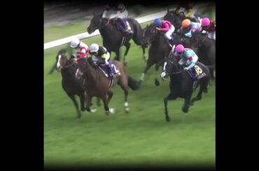 世界最強馬と衝撃の末脚に勝った馬 #競馬 #皐月賞 #ドウデュース #イクイノックス#ジオグリフ