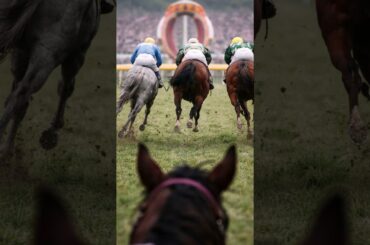 スペシャルウィーク 第4話｜皐月賞惜敗#スペシャルウィーク#皐月賞#クラシック#惜敗#競馬ドキュメンタリー#競馬史#JRA#競走馬