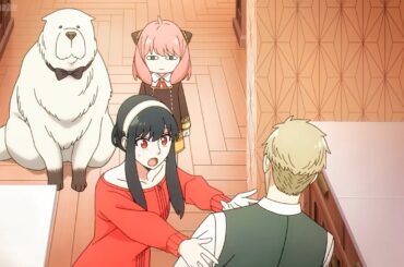 家族の大混乱が皆を驚かせる瞬間!! 小さな誤解が忘れられない家族の瞬間を生む[ SPY×FAMILY  Full 3 Season HD Engsub】