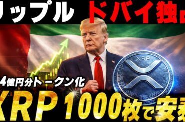 🔥XRP1000枚で安泰🔥リップルが現物資産をトークン化‼️2月の価格に影響か？【仮想通貨　最新情報】
