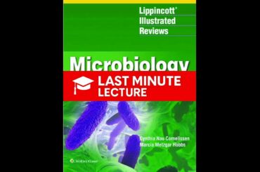 二本鎖RNAウイルス：レオウイルス科 | 第30章 – リッピンコット微生物学（第4版）