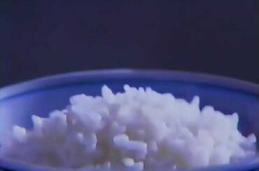 1995年のCM 　象印炊飯ジャー　賀来千香子