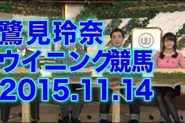 鷲見玲奈アナ出演｜ウイニング競馬 2015.11.14