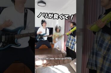 新しい家族が加わりました！#PR #amazon #Alexa #AmazonEcho#アレクサ #アレクサのある生活 #おうちごっこ