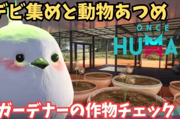 【ワンスヒューマン/ゲーム実況/ゲーム攻略】271　動物とデビ集め【#OnceHuman】