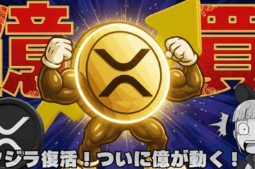 【※重要！クジラがXRPを爆買い】【新規リップラーも増加中！ここから来るか？】