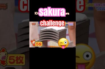 le sserafim sakura hkt48 10代の頃の挑戦！瓦割り！5枚！#le sserafim #sakura #宮脇咲良