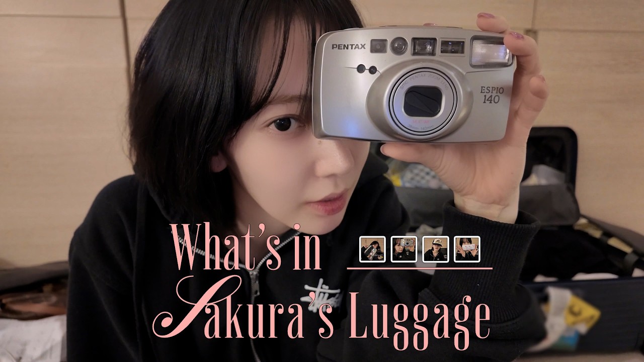 보부상 협회 : 사쿠라씨 보부상 이견 없습니다 🙅♀️ | 꾸라의 What’s in my luggage 🧳 보부상 협회 : 사쿠라씨 보부상 이견 없습니다 🙅♀️ | 꾸라의 What's in my luggage 🧳