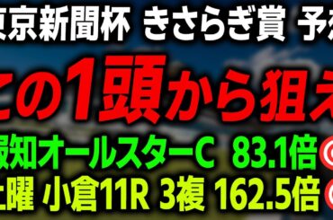 【東京新聞杯 きさらぎ賞 2026 最終予想】東西重賞の本命馬と最終買い目を徹底解説します