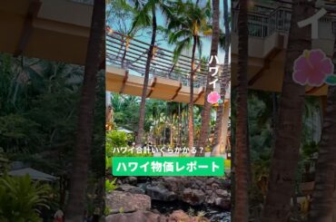 ハワイ旅行いくらかかった？ハワイ好きNEWTスタッフが物価を調査🧐