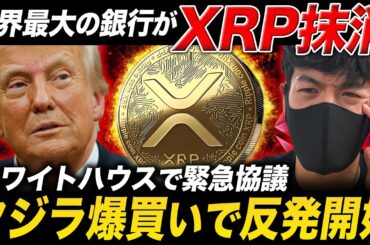 【緊急】XRPが大手銀行に消される。国連の公式認定でクジラの爆買いが始まります【テクニカル分析 リップル 仮想通貨 最新情報】