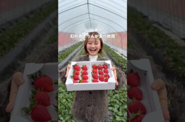 1日1組限定！あまりん食べ放題の貸切ツアー🍓