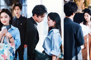 契約結婚でCEOに「恋するな」と言われ、従ったが、2年後、彼は後悔し私に愛を乞う。