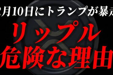 【XRP速報】トランプが暴走し、リップルが危険な理由を徹底解説【仮想通貨 暗号資産 最新情報】