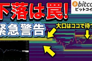 【仮想通貨 ビットコイン】警告！大口（クジラ）の動きに騙されるな。清算マップが示す「本当の底値」（朝活2066）
