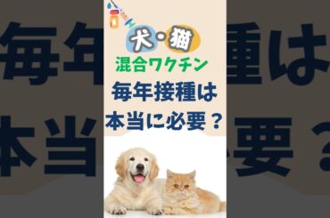 【犬猫ワクチン】毎年接種は必要？