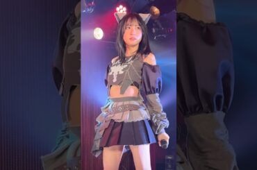 かっこよくてかわいいねこちゃん🐱#林田真尋 #amini #撮可 #推しカメラ #アイドル #ライブ