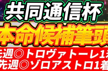 【共同通信杯2026】◎勝って行こう、皐月賞！『絶対に買う馬』【1週前全頭見解】