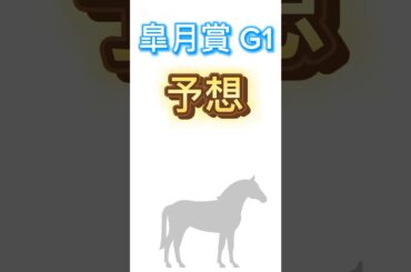 #皐月賞 の#予想　です。#サトノシャイニング に注目です。🔥🔥🔥#クロワデュノール #皐月賞2025 #競馬 #競馬予想 #マスカレードボール #弥生賞 #皐月賞2024
