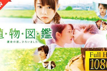 【ドラマ フル】植物図鑑　運命の恋、ひろいました【サスペンスドラマ】🦫🐈