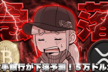 【※緊急速報！急落の理由は？】【株式・金・仮想通貨下落！AI崩壊迫る】