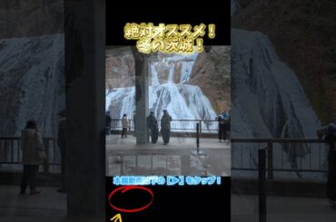 絶対オススメ！冬の茨城ツアー！ #shorts #氷瀑