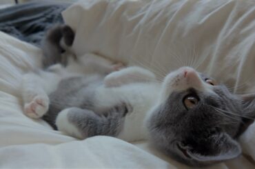 生後３ヶ月のワクチン接種