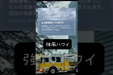 【ハワイ】2/11までハワイは悪天候で緊急事態宣言⚠️強風過ぎてあちこちで木が倒れるっ⁉️（ENG SUB）#shorts #ハワイ #ハワイ旅行