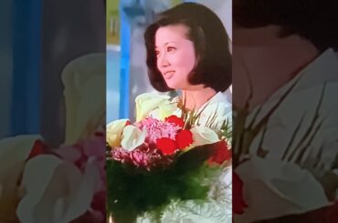 浅丘ルリ子 吉永小百合 和泉雅子さん