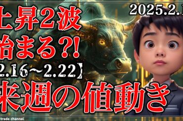 ビットコインに明日から上昇再開の兆し！来週の値動き【2.16～2.22】【ゴールド】