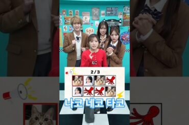 나코 네코 타코 #矢吹奈子 #아이즈원 #izone