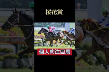 桜の舞台に咲かせる一輪のデイジー！ビップデイジー！桜花賞個人的注目馬！#桜花賞 #ビップデイジー