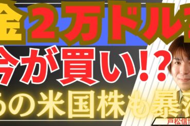 【2/17速報】金2万ドル超強気予想の背景「あの米国株」の大暴落！投資初心者が知っておくべき最強投資戦略