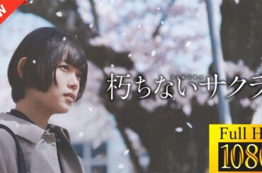 【新しい映画】 朽ちないサクラ 【映画フル】🤡🤠