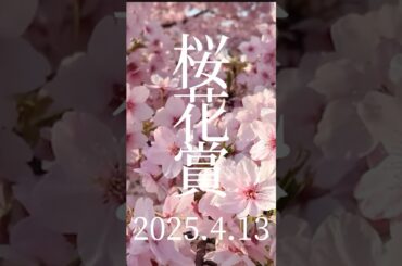 【桜花賞】現地観戦！10万勝負！ #競馬 #競馬予想 #ウマ娘 #阪神競馬場 #桜花賞 #エンブロイダリー #アルマヴェローチェ #リンクスティップ