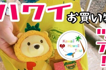 【ハワイ観光】ノース方面・ドールプランテーション等・どこでもプライベートチャーターツアー