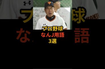 プロ野球なんJ用語解説3選　#プロ野球 #野球雑学 #原辰徳 #読売ジャイアンツ #埼玉西武ライオンズ