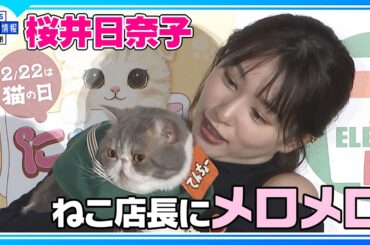 【桜井日奈子】ねこ店長🐈ポセイドンくんにメロメロ💘