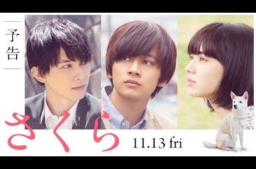 【感動】映画『さくら』2026 フルムービー