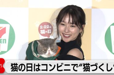 セブン‐イレブン「猫の日」に合わせ猫がモチーフのスイーツなど発売　桜井日奈子さん「パッケージがネコのものって放っておけない」