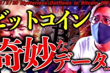 ビットコインに奇妙なデータが。何を意味する？トランプ息子は100万ドル到達予測を堅持！！2/20最新ドル建てチャート分析！【Mysterious Outflows in Bitcoin ETFs】